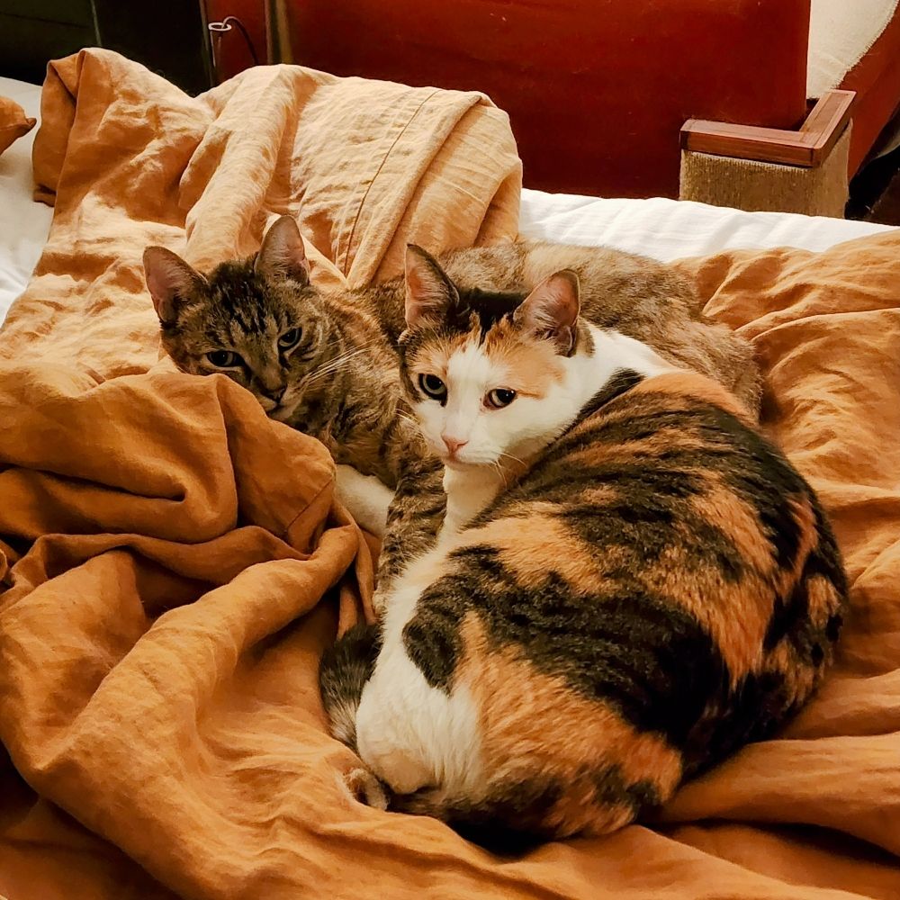 sunshinenyc.bsky.social