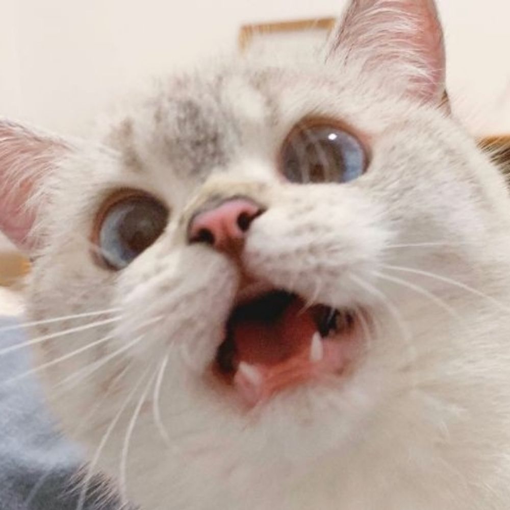 레몽