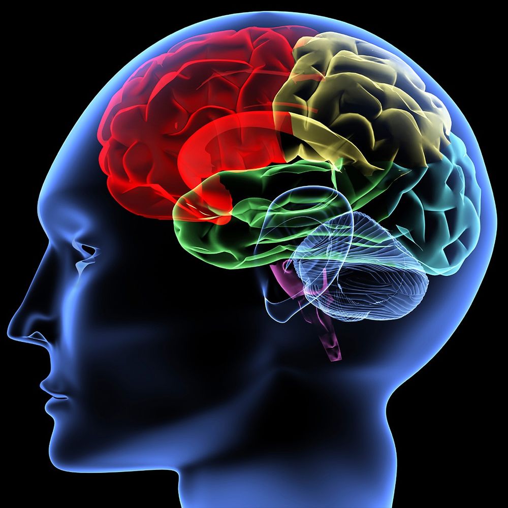 UMass Psychological and Brain Sciences