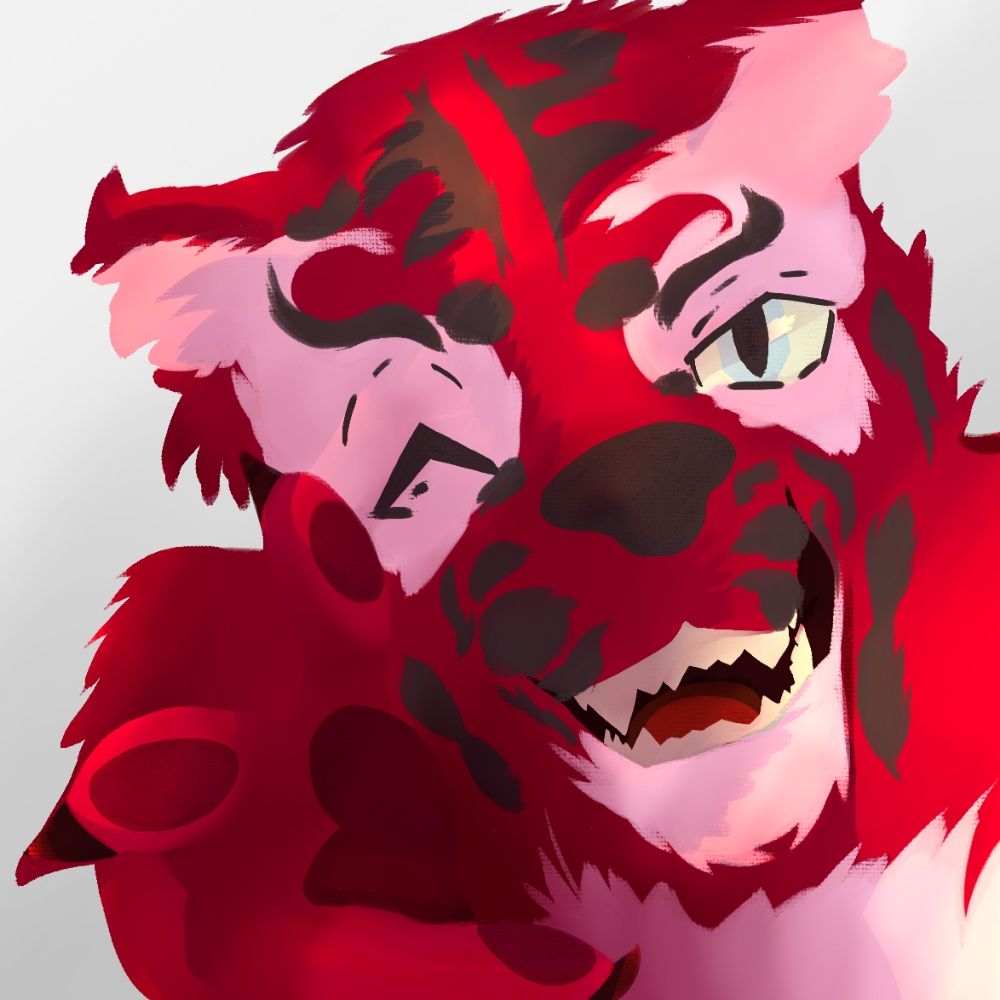 Meooki