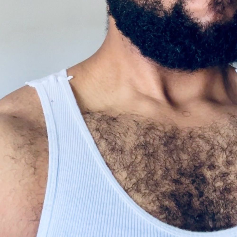 Black Bear 🐻