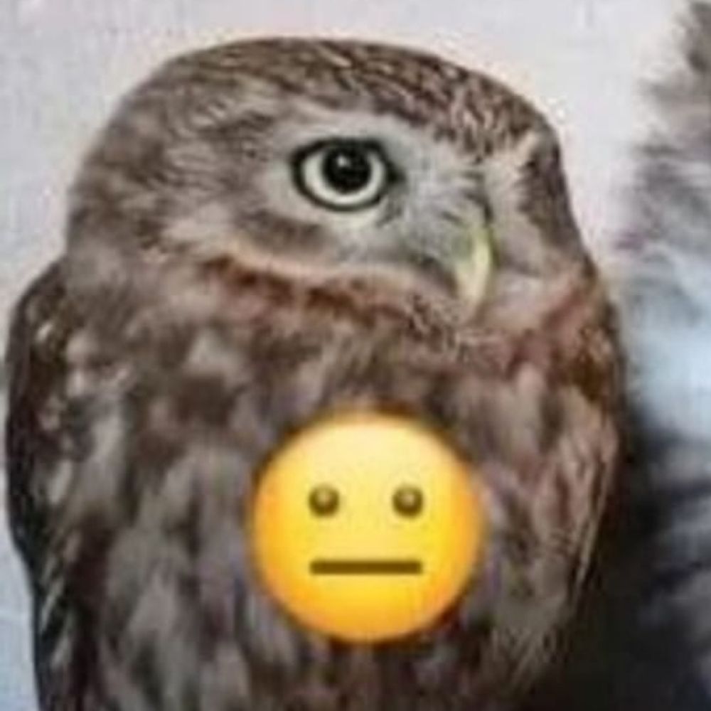 𝘔𝘢𝘯𝘶𝘩 𝘚𝘢𝘭𝘷𝘢𝘵𝘰𝘳𝘦 vulgo 𝘉𝘢𝘬𝘢𝘹𝘰𝘵𝘢