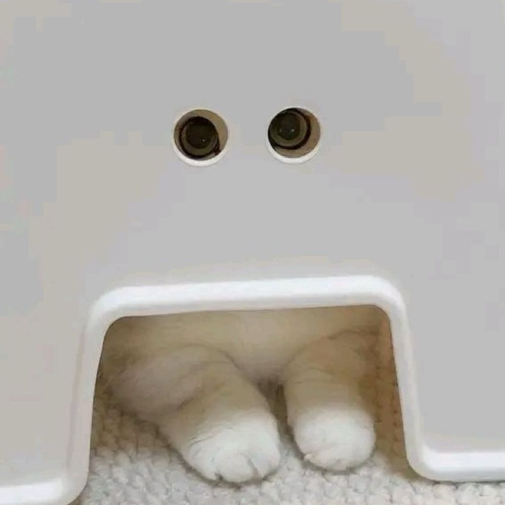 เ ค ส เ อ ง ! 