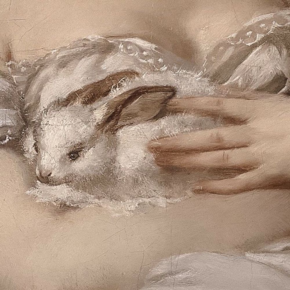bunny