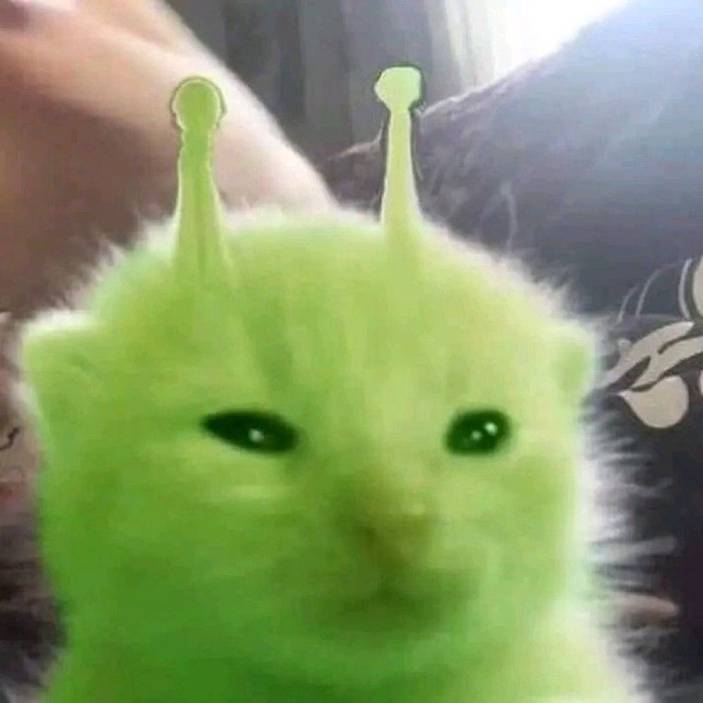 쌈무ིྀ ᧔࿔᧓