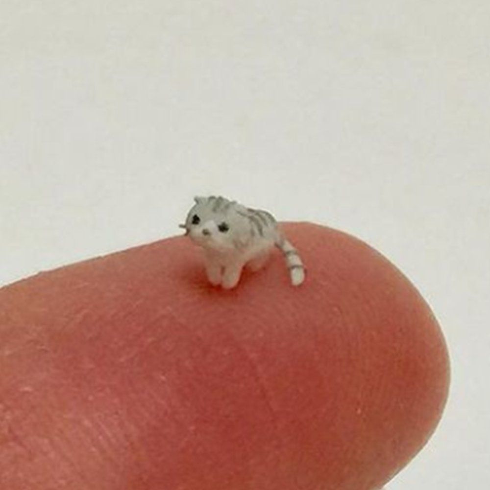 tiny tiny cat