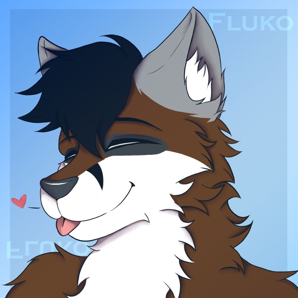 Fluko
