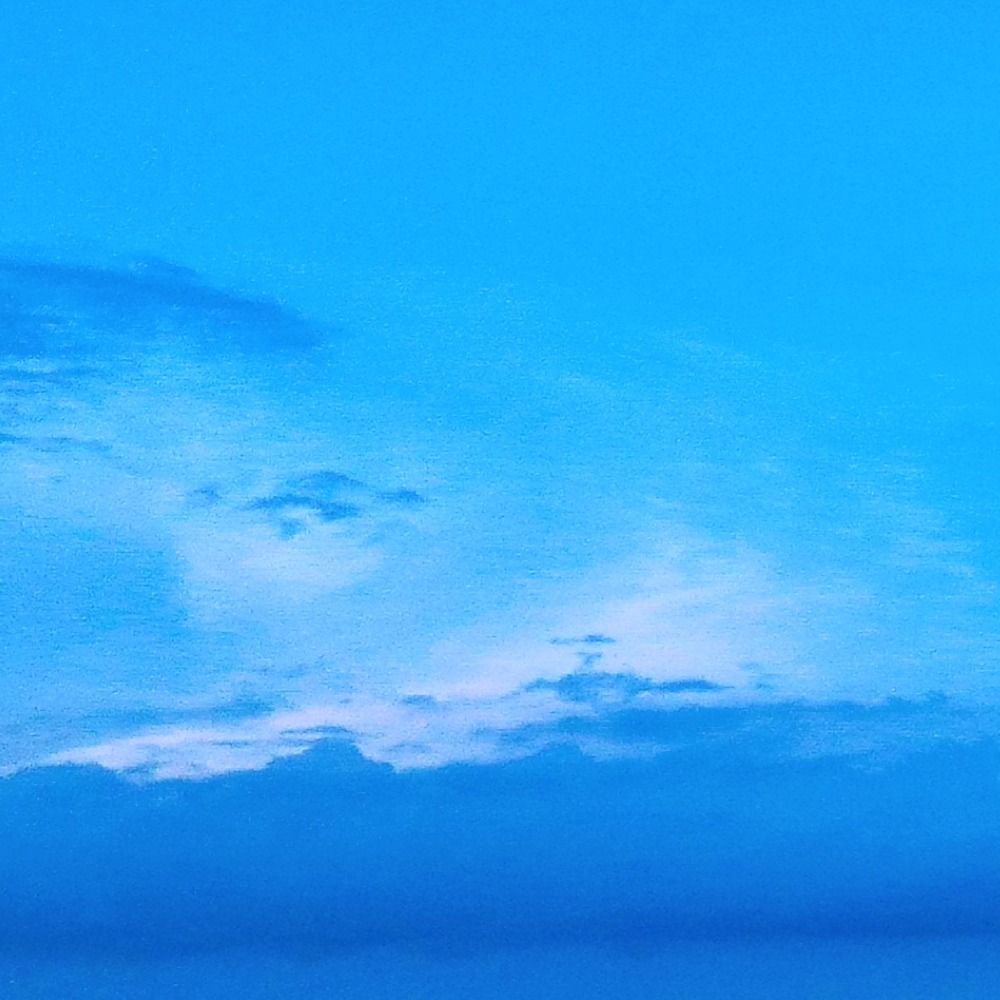 リコ