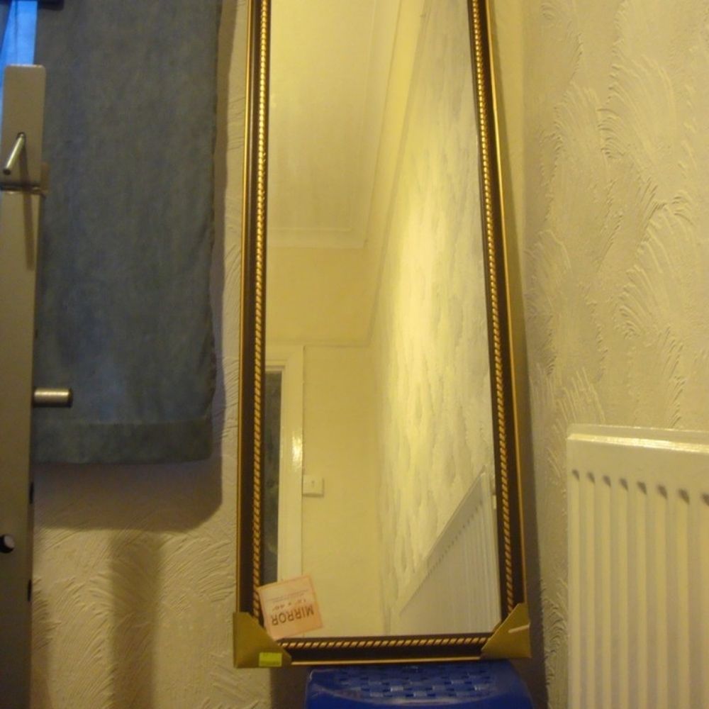 Mirror Selfshot