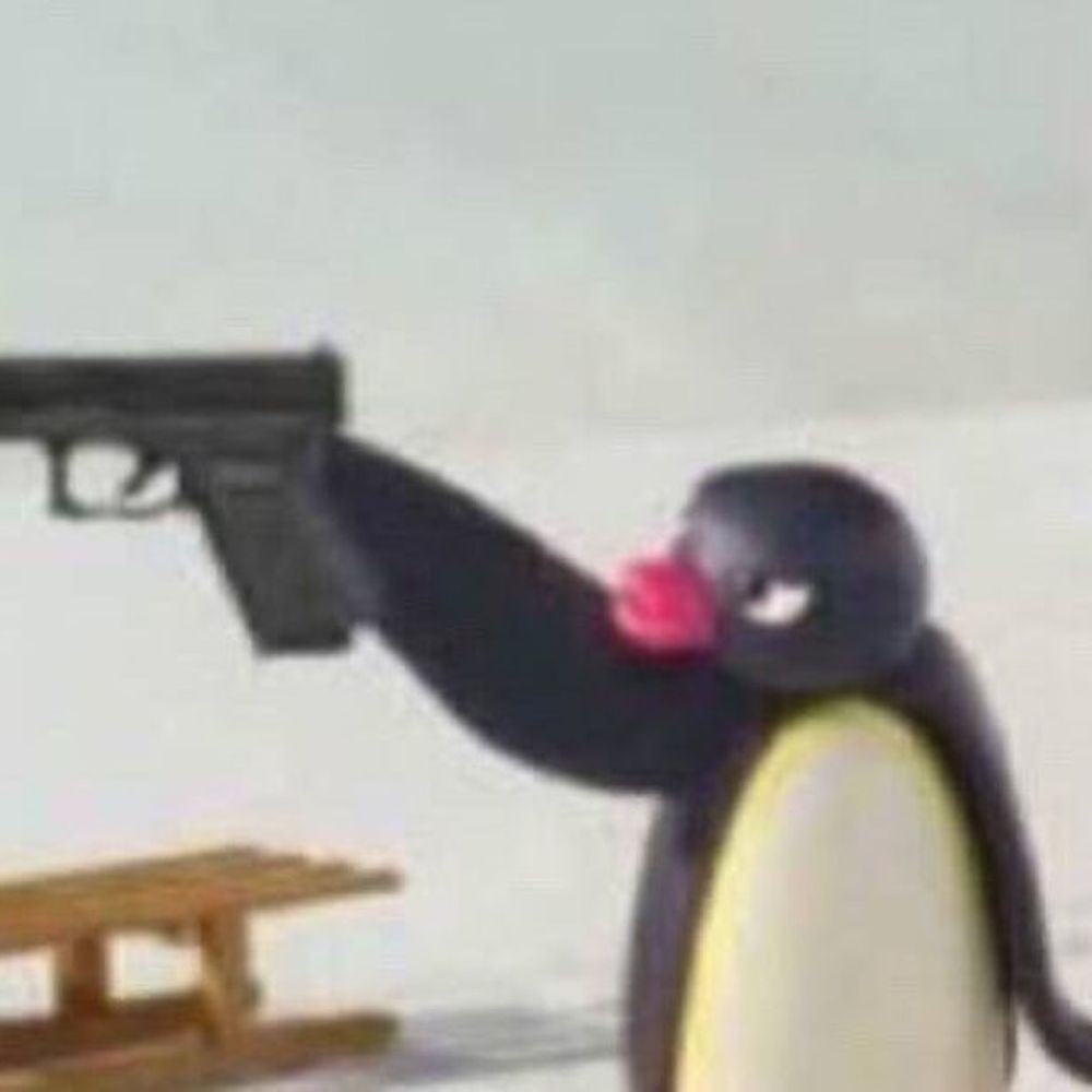  pingadas pinguais