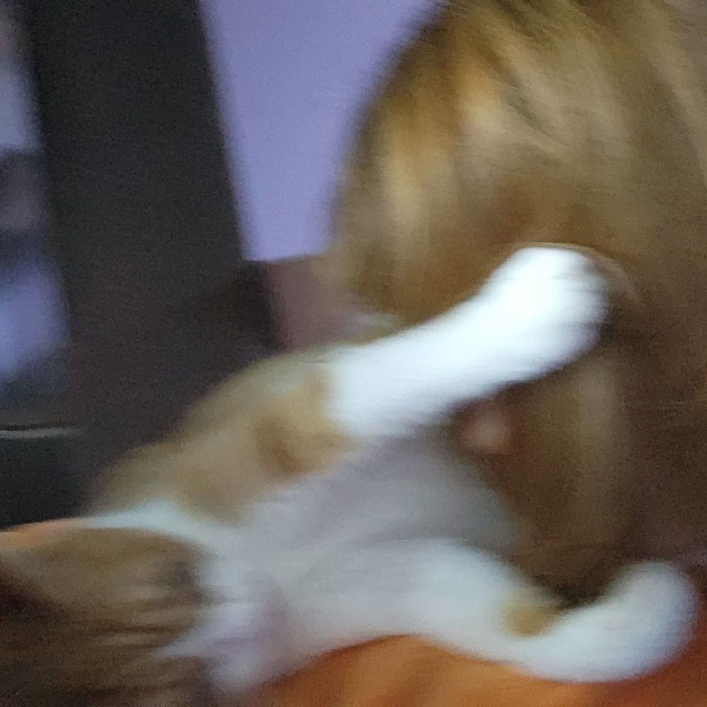 낡고지친영혼