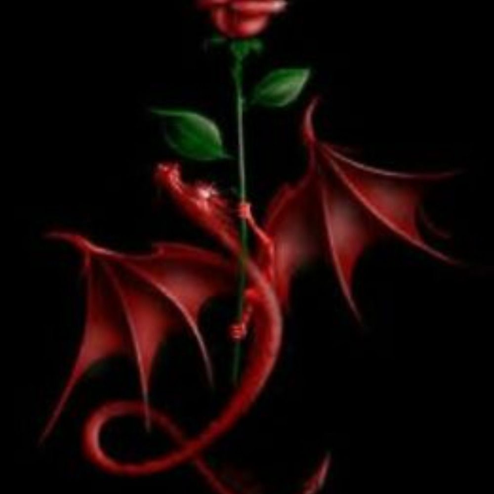 Drachenrose