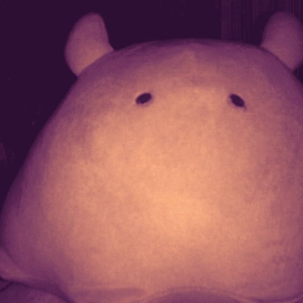 はやと