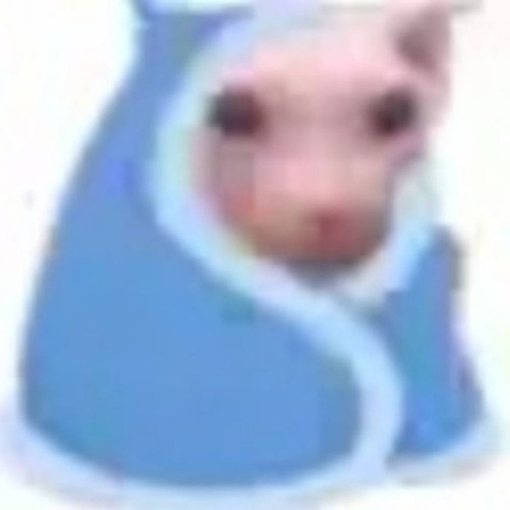 lasanha de presunto 