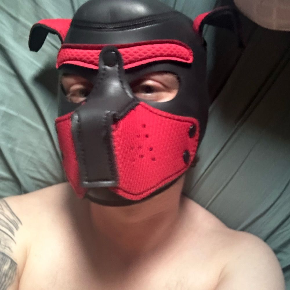 Pup Ned