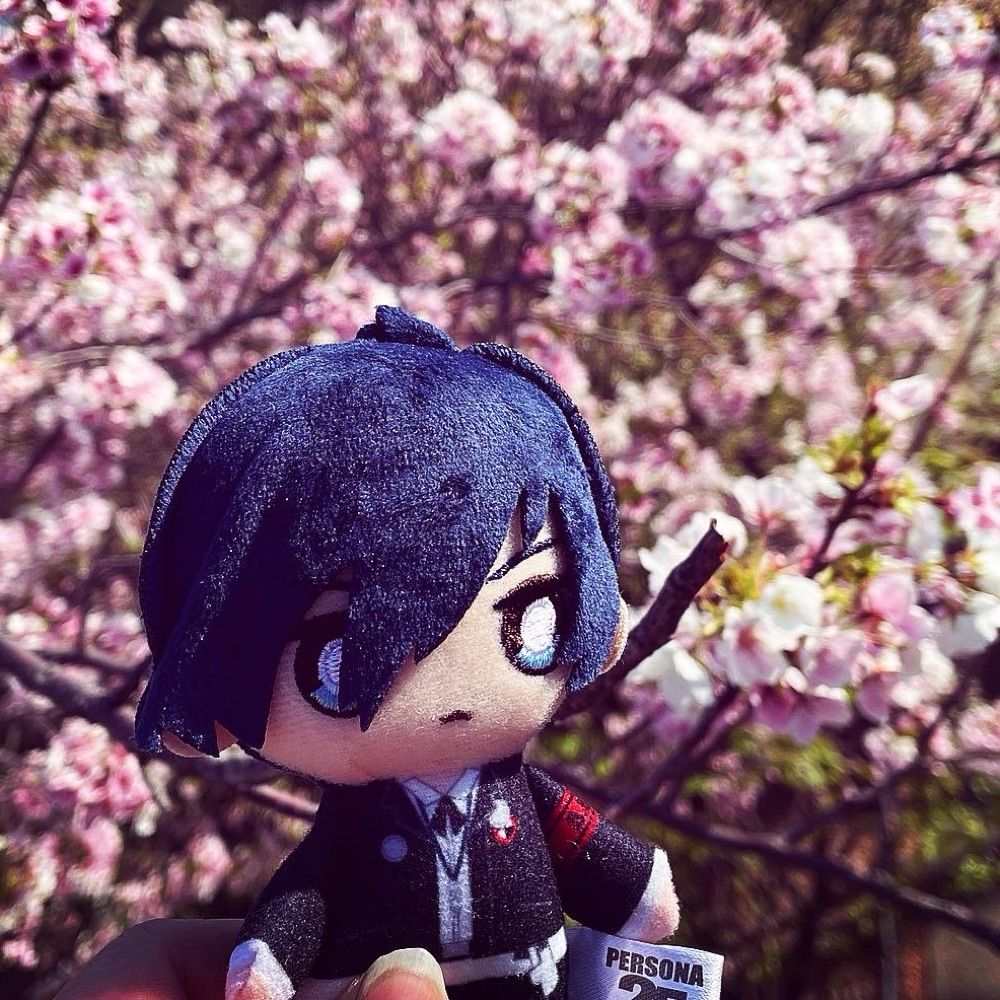 やさこ
