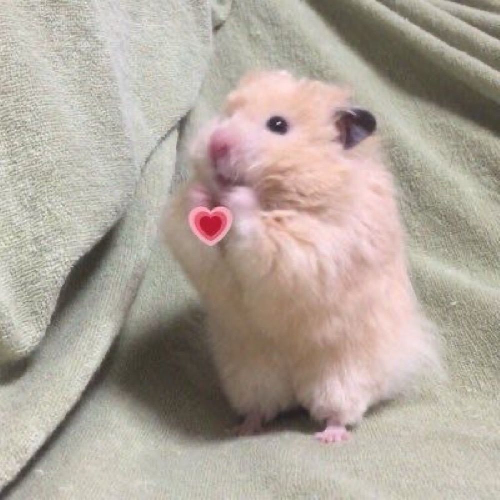 Tiny.Gro ⁷