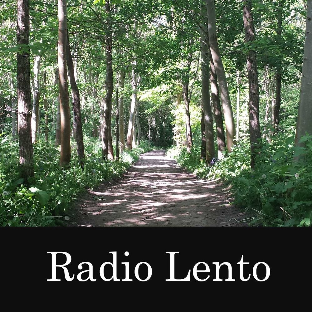 Radio Lento's avatar