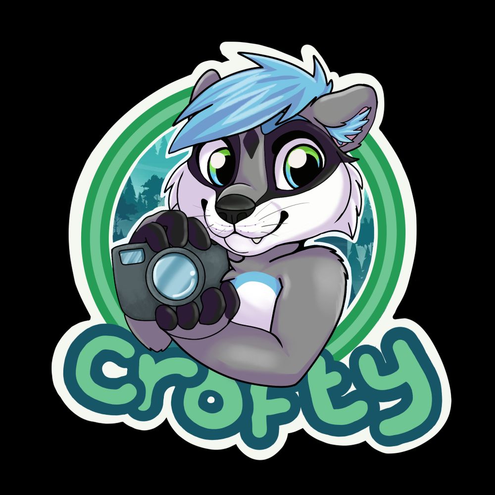 Crofty_Raccoon