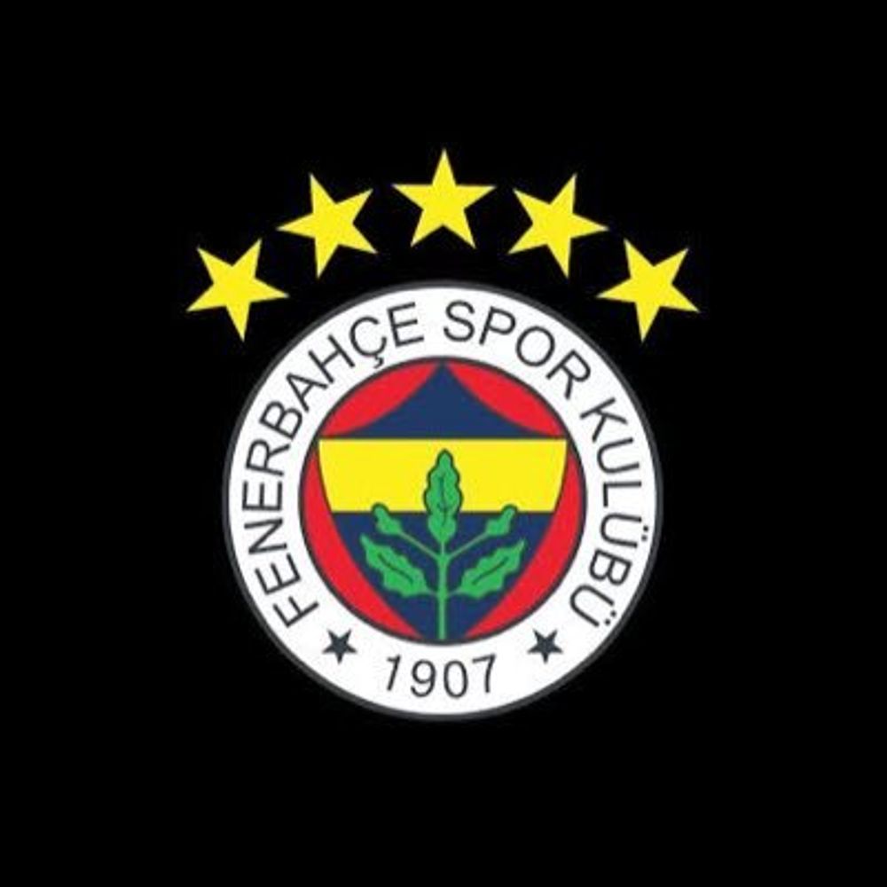 Fenerbahce_Bull