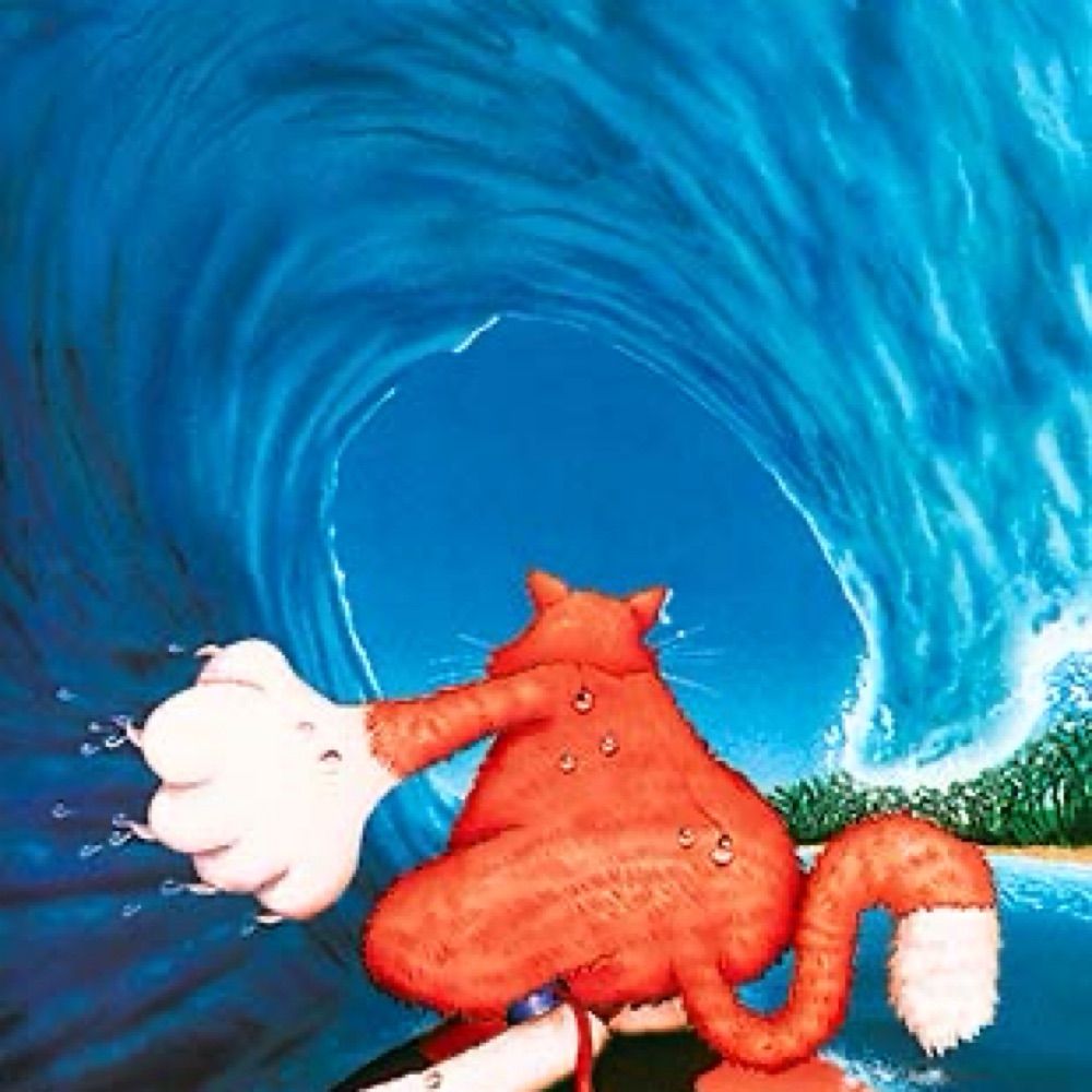 Surfcat Jim