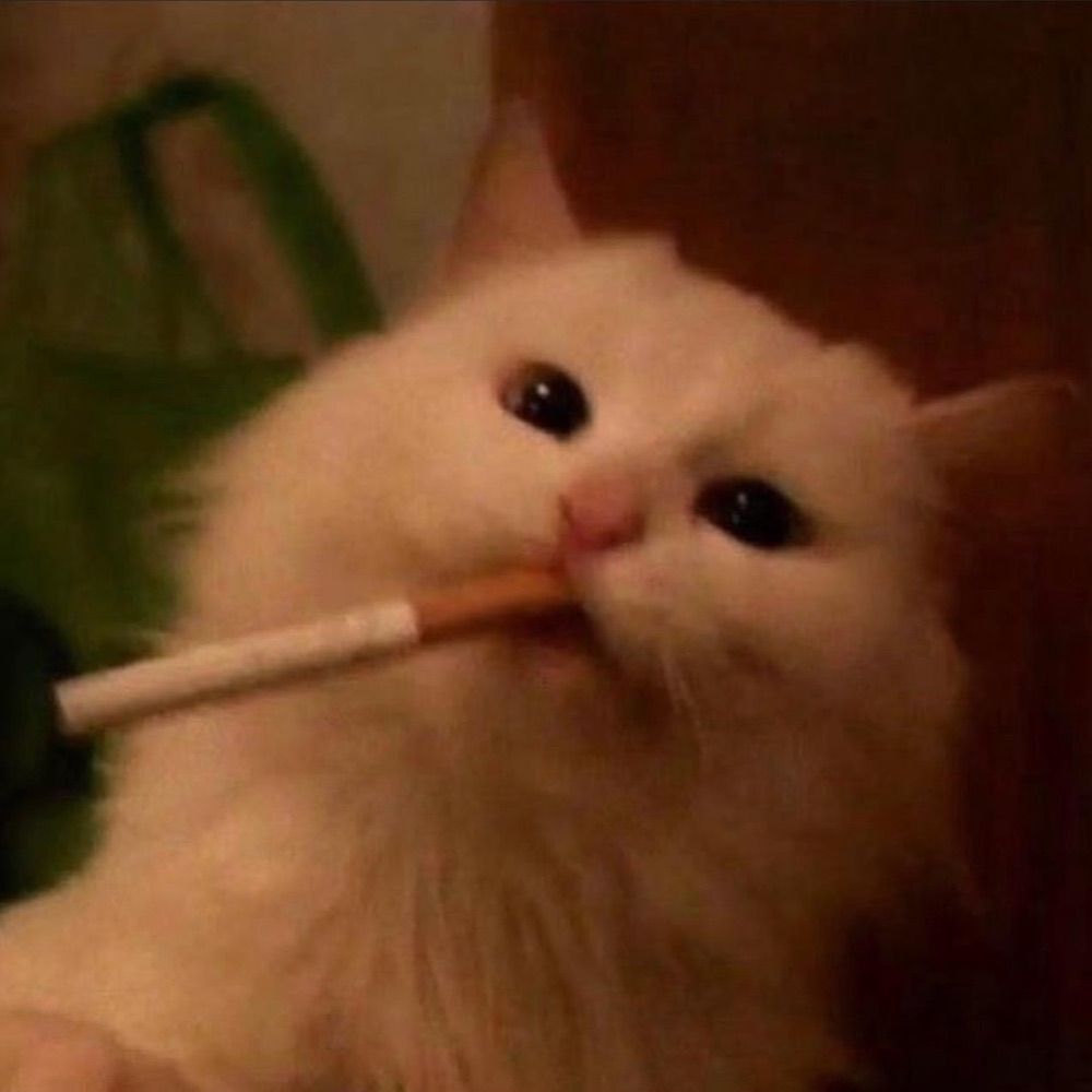 Animals Going Goblin Mode