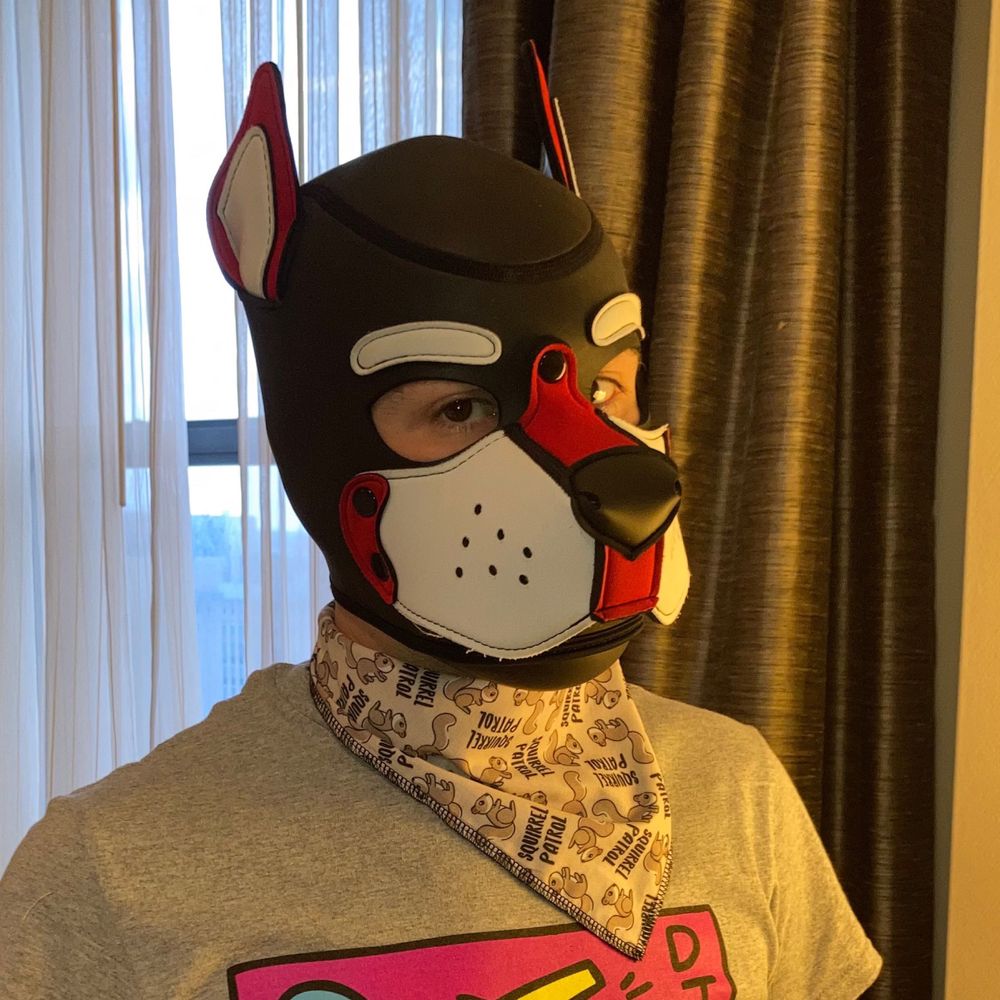 Pup Pazzy