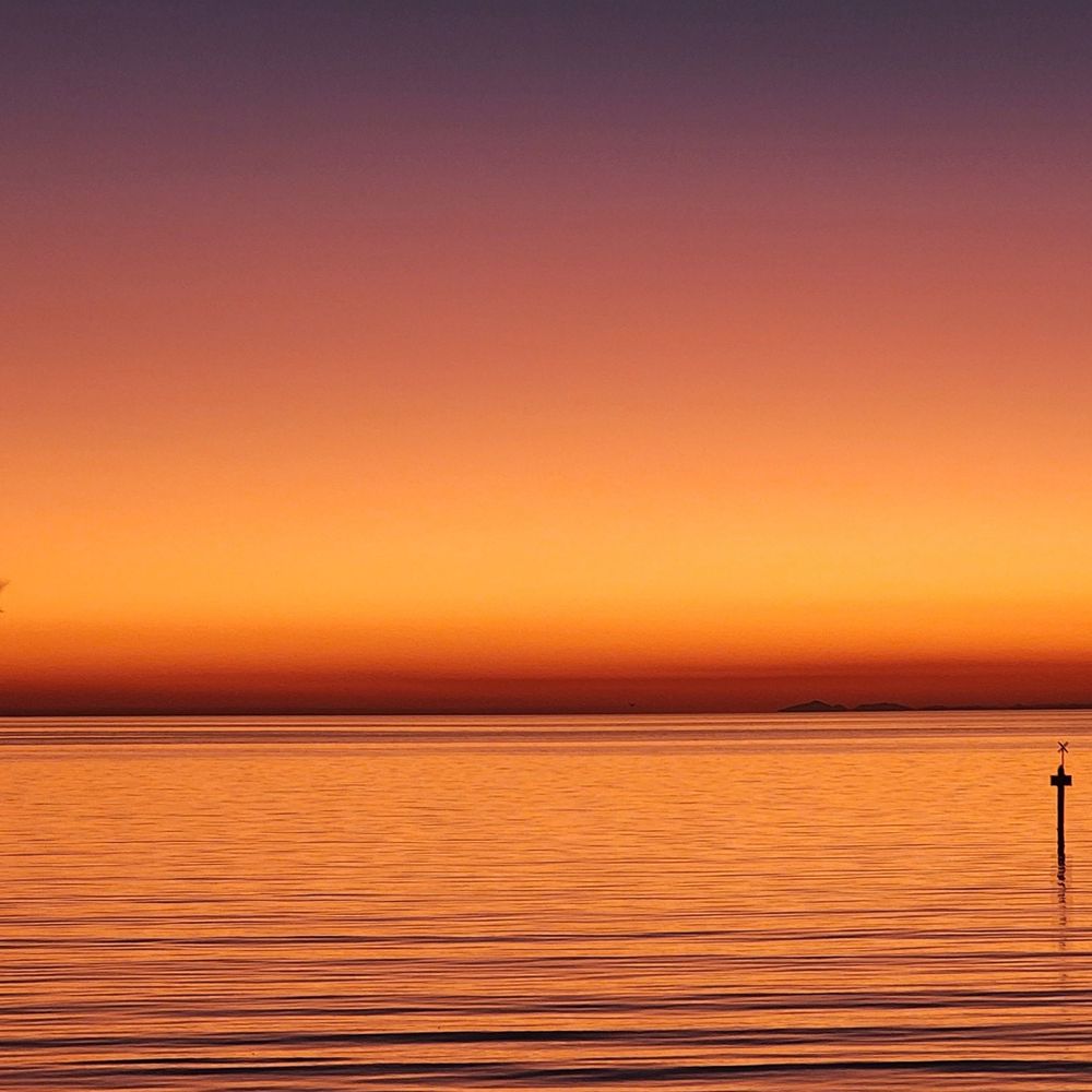 David Blair Photography 