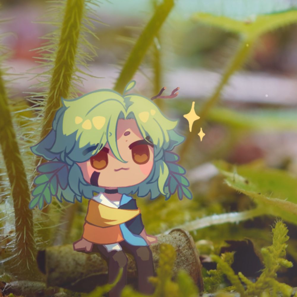 🌿plantsy