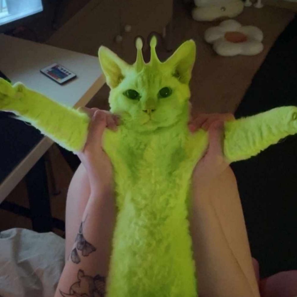 mludiQ