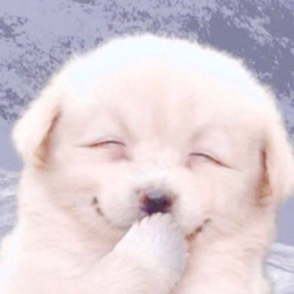 ぽねき