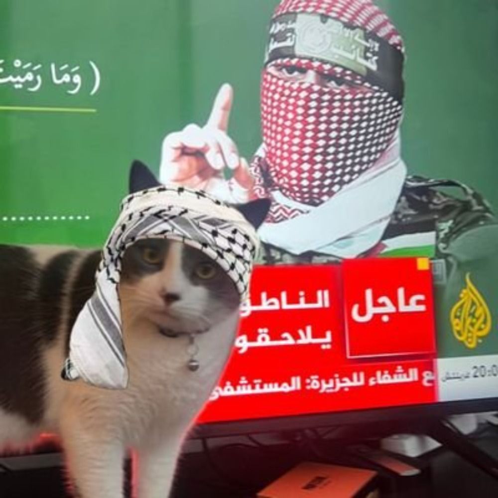 JuliaComuna 🇷🇺VIVA O HAMAS 🇵🇸