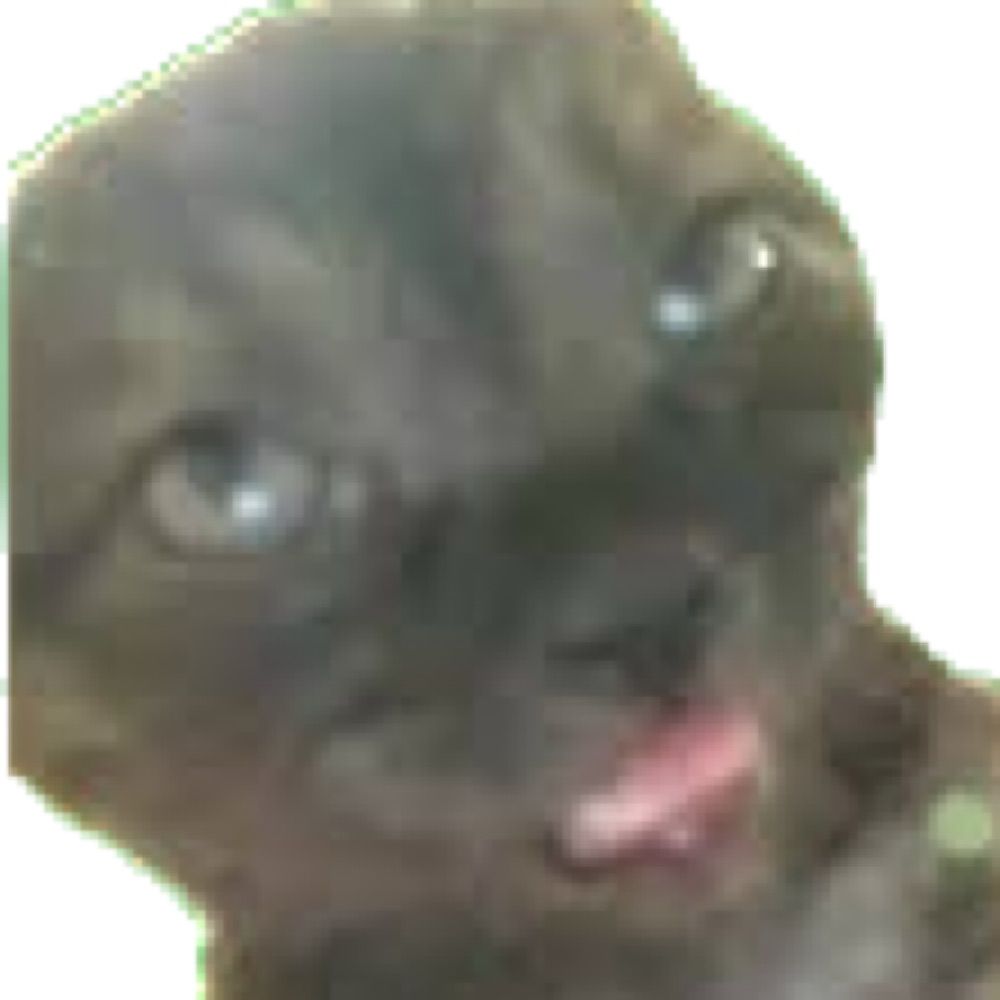 𝕙𝕒𝕡𝕡𝕪 𝕡𝕠𝕡𝕠𝕥𝕠