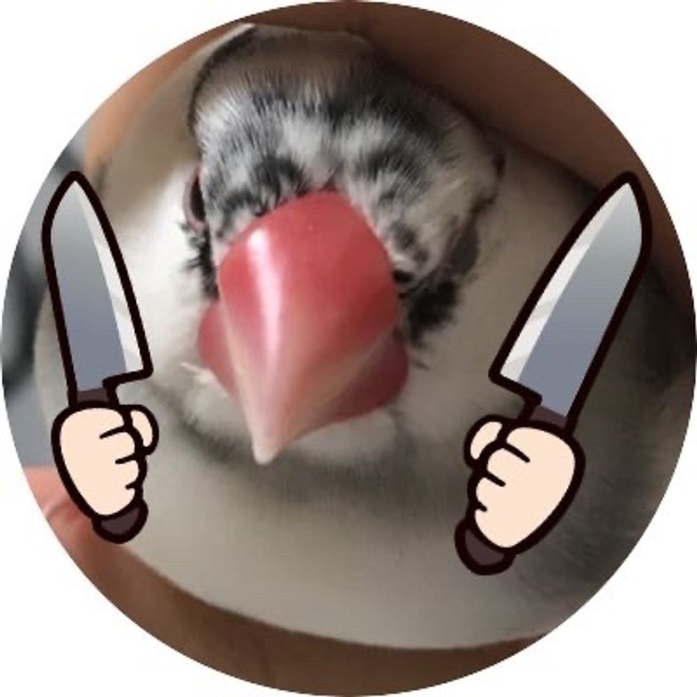 ぽぽぽぽん