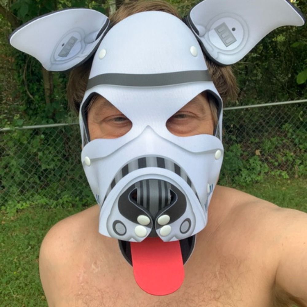 Pup Sonic
