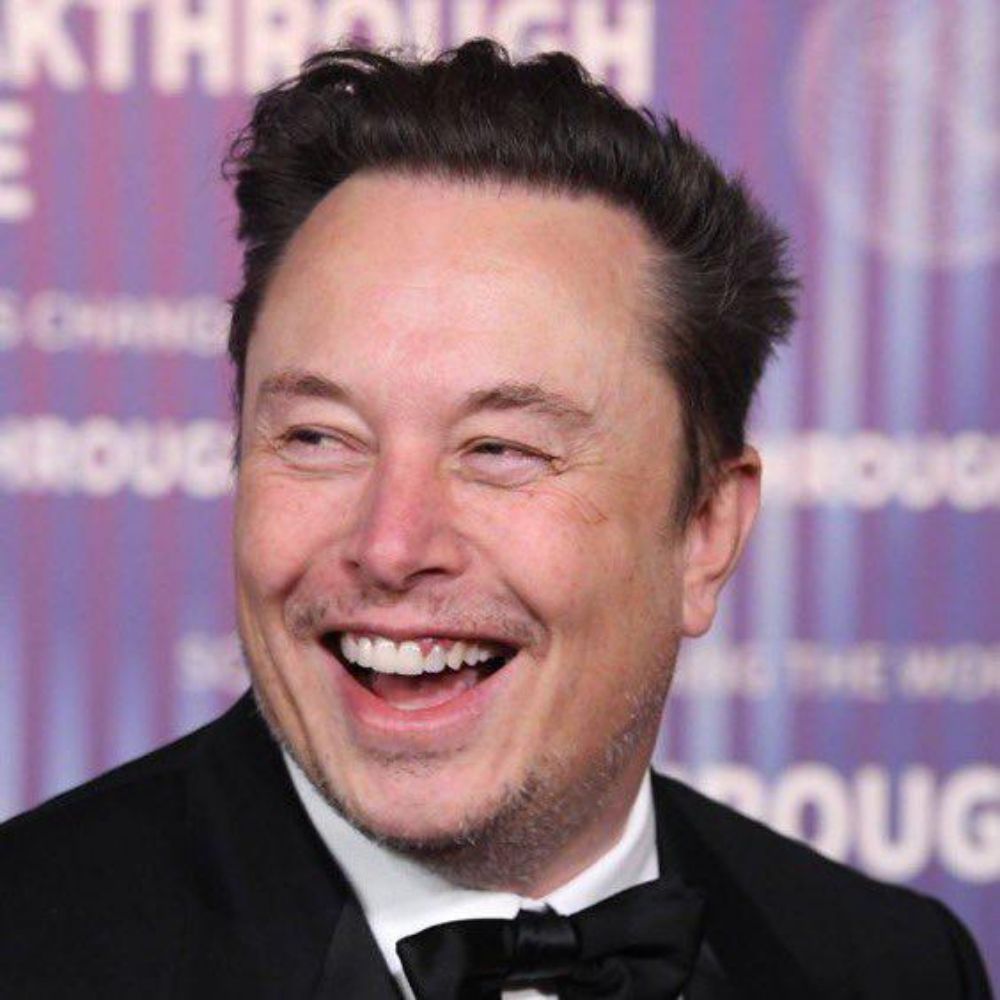 Elon musk (parody)