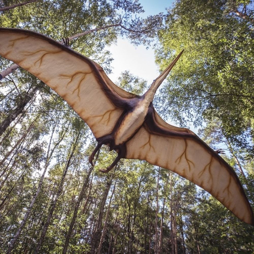 Pterodactylus