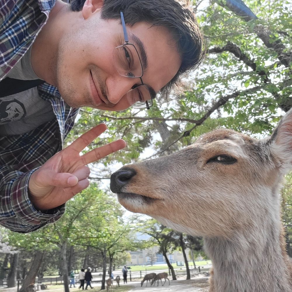 Bambi