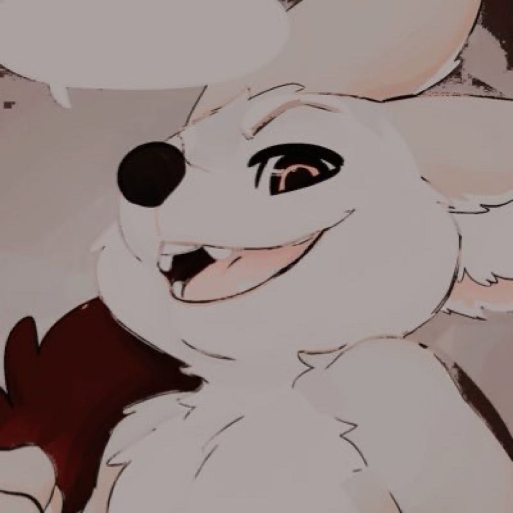 * 𓃴 ˖ ᅟᅟ𝕱𝑰𝑵𝑵𝑰𝑪𝑲◝