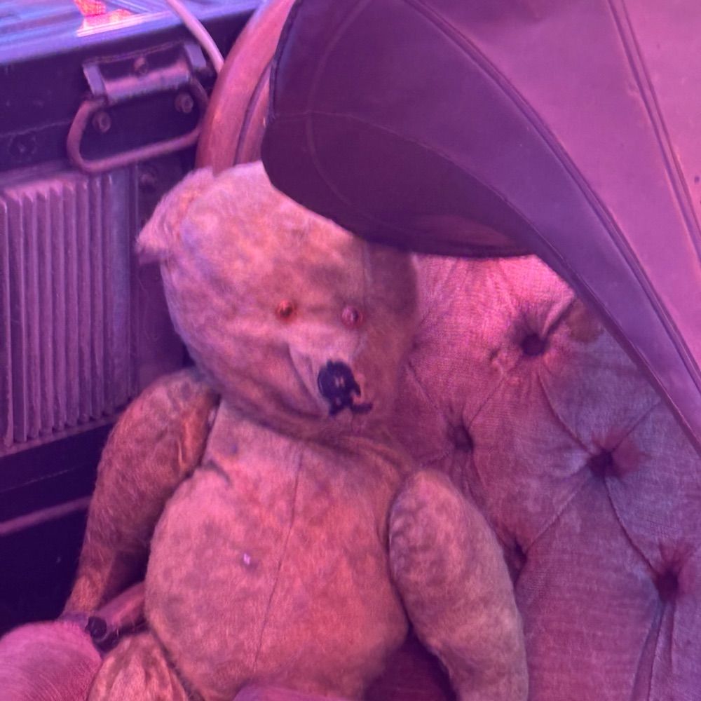 Bearly Kier