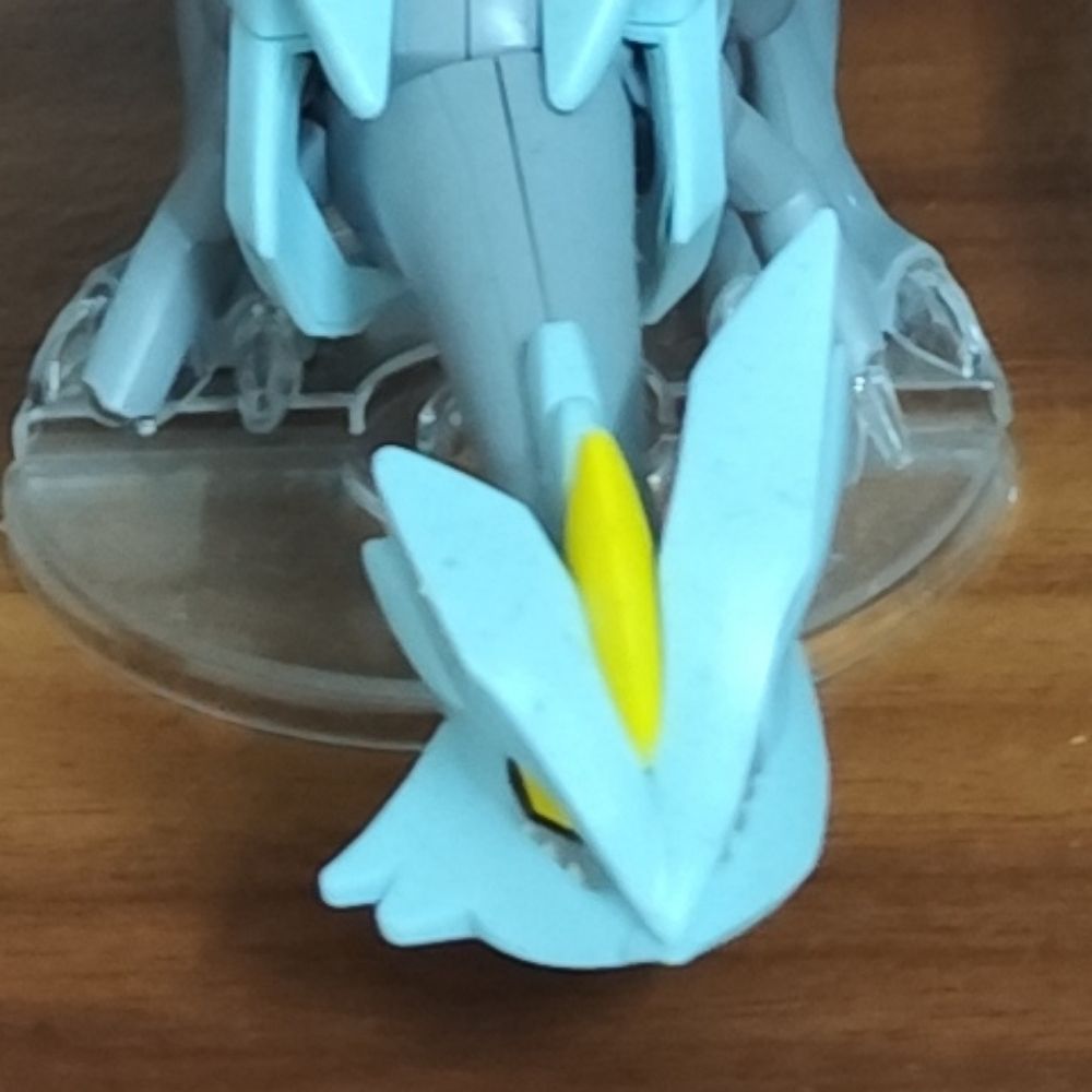 BingonKyu