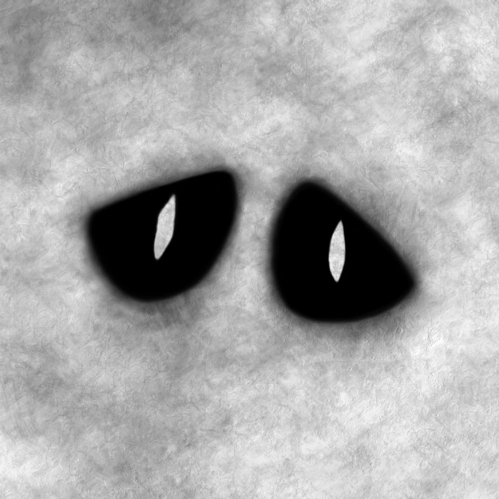 | yharon | ᔦ月ᔨ | uoɹɐɥʎ |