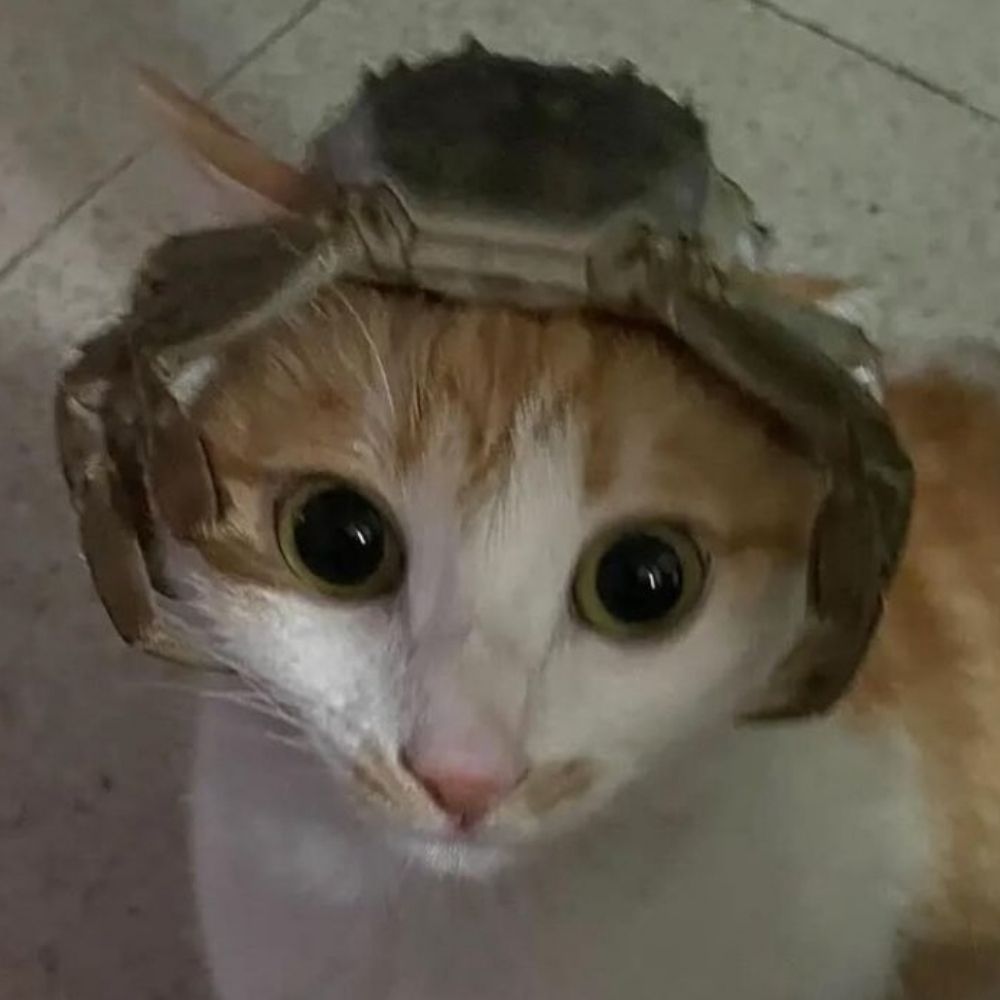 397