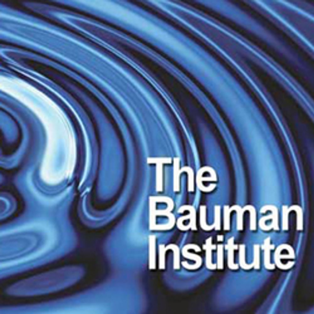 Bauman Institute, University of Leeds