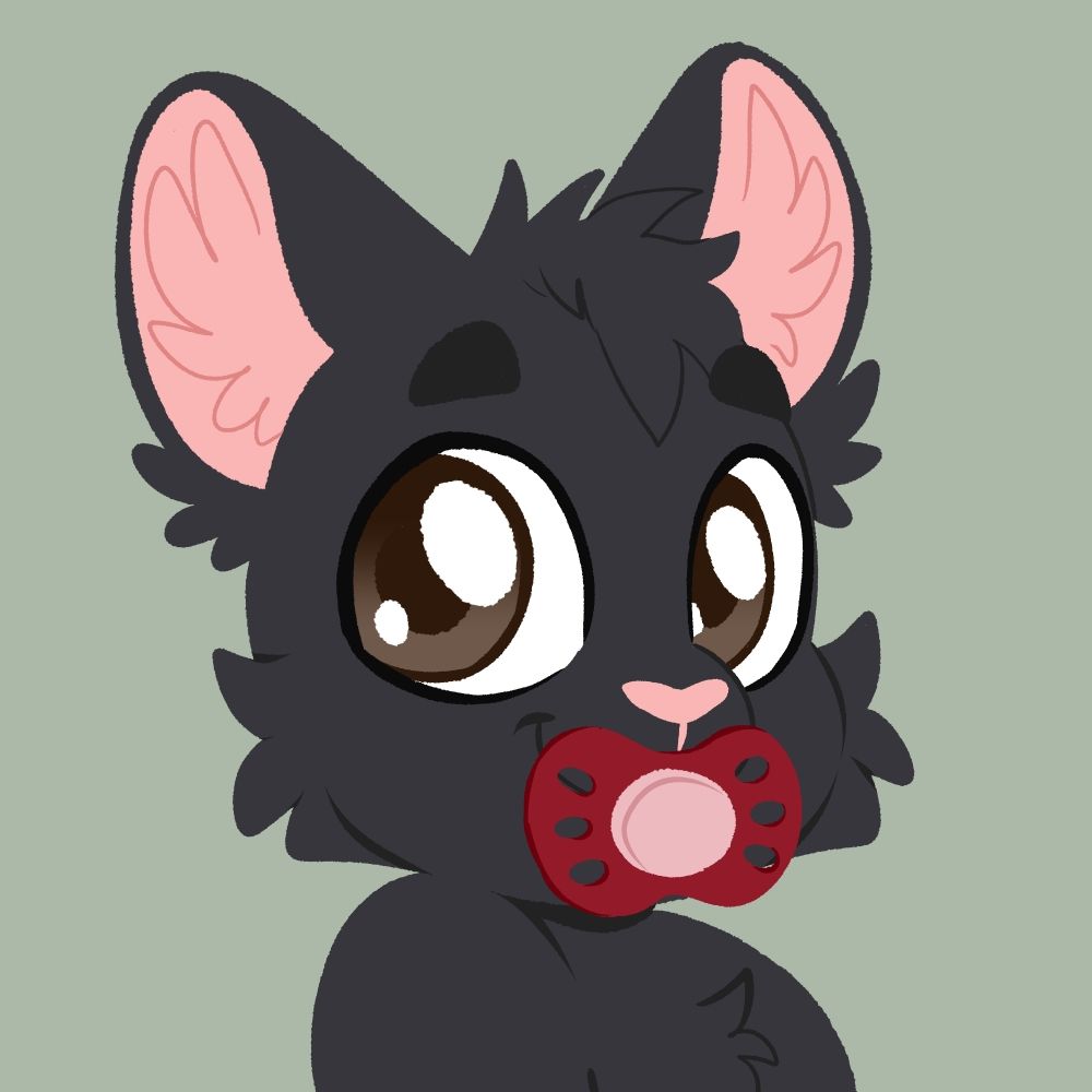 Andy the Black Cat