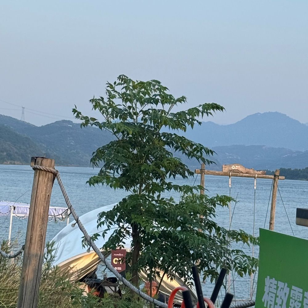 嗯嗯嗯