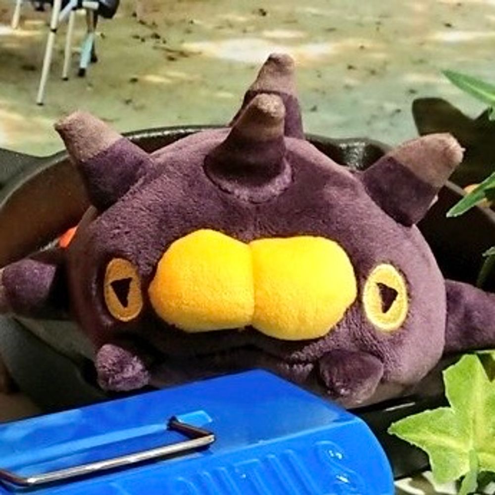 暮石（呉）