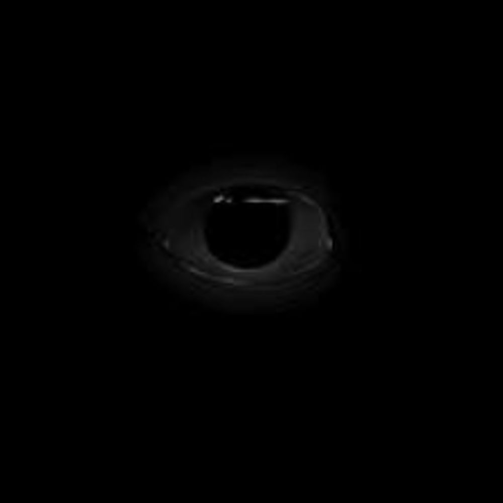 THE WATCHER