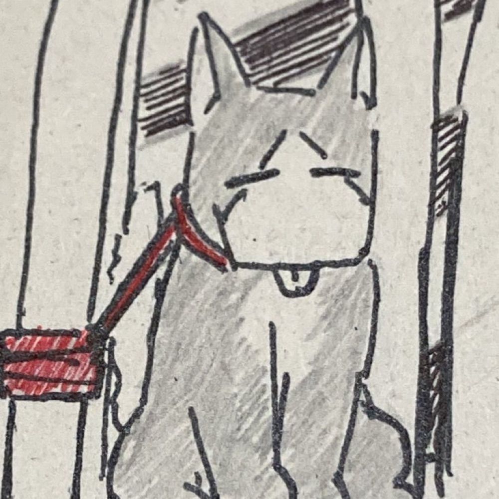 椎