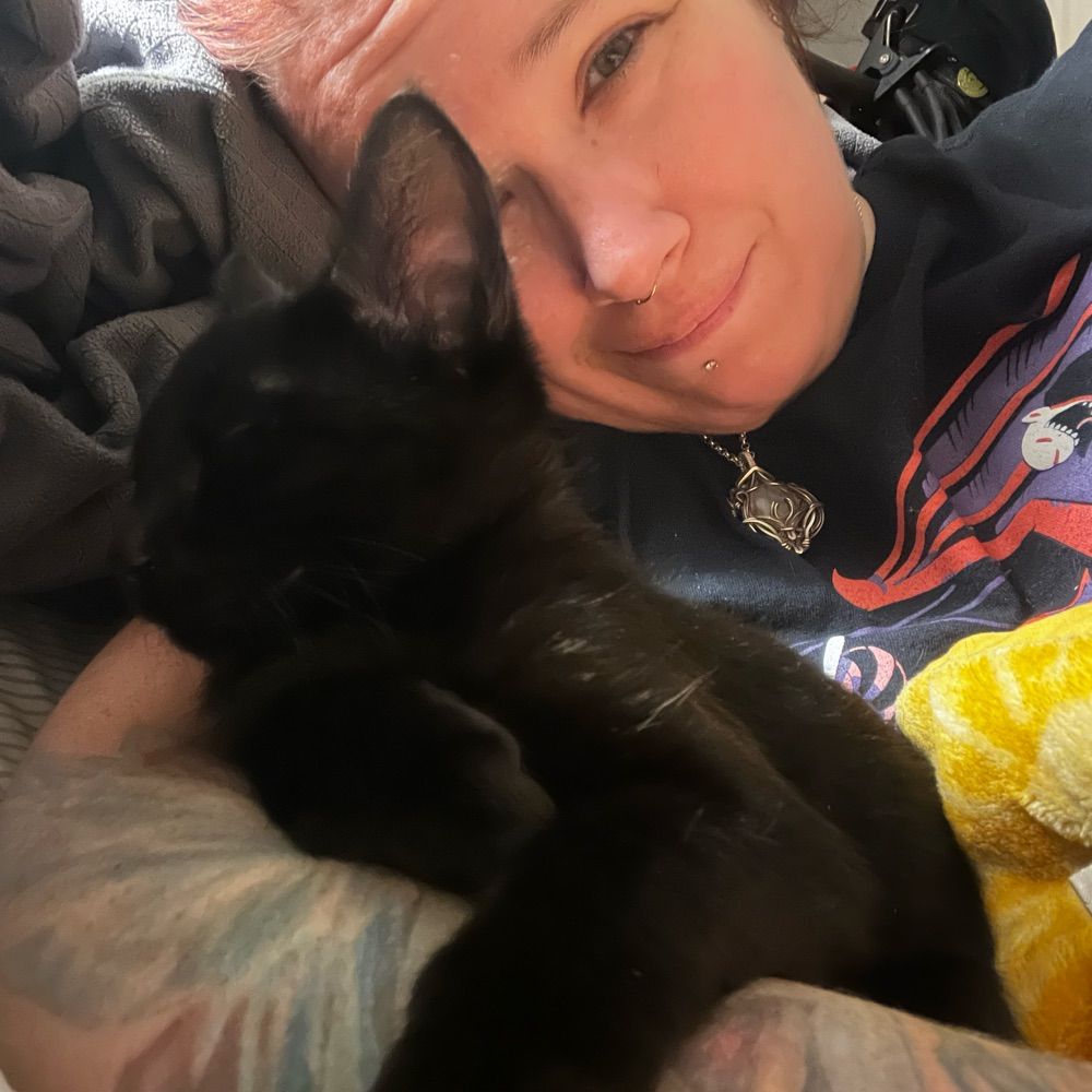 Ginger Muse Artist